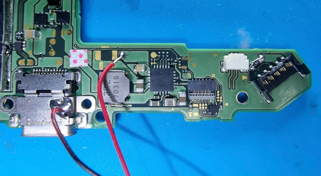 Placa base bajo el microscopio